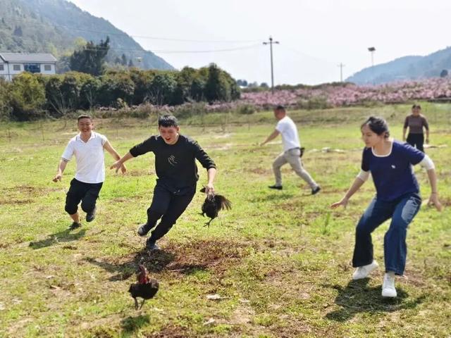 悦遵义·赴春约|三渡镇赏花游活动来啦!!!