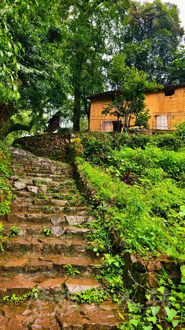 皖浙摩旅二人转——松阳松庄村篇
