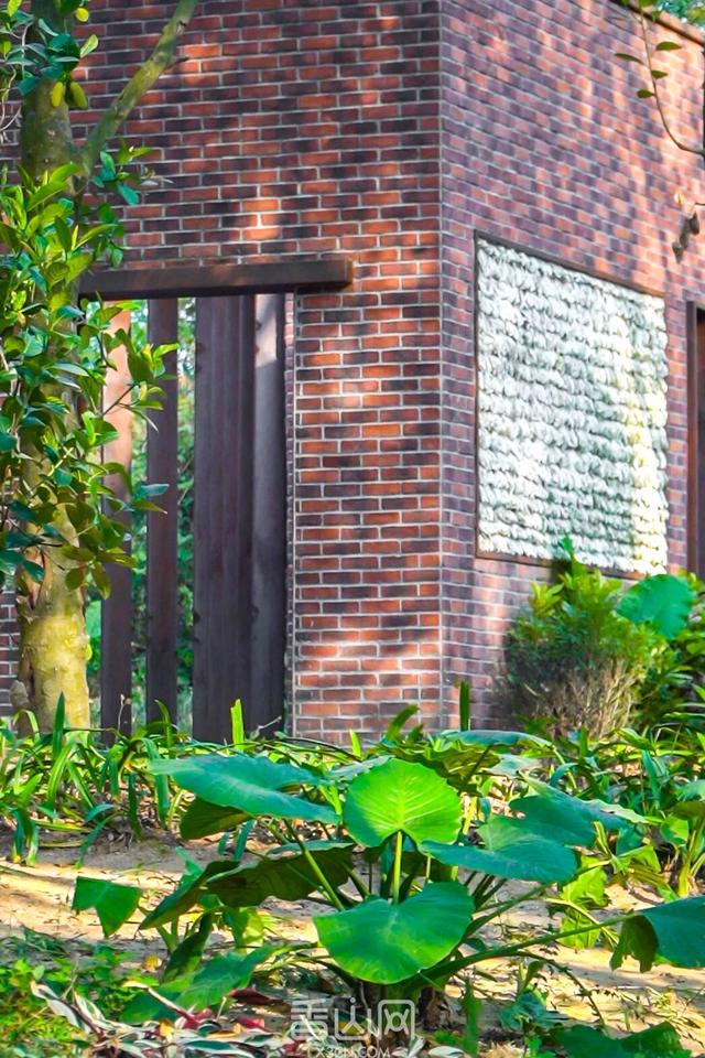 珠海5000年沙丘遗址秘境，免费开放！