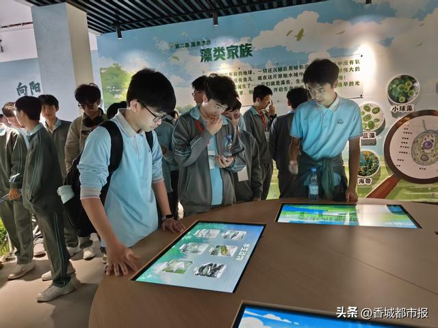 湖光映濠江 研学润童心——澳门学子向阳湖湿地的生态文化之约