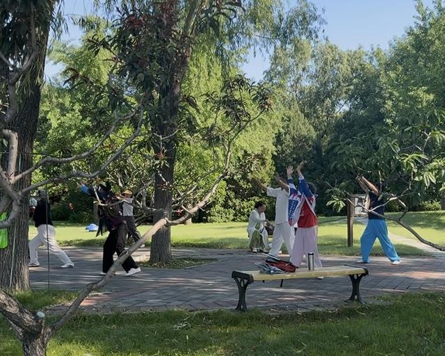 「京城水脉·夏日亲水地图系列报道」莲花河:千年水脉的都市新生