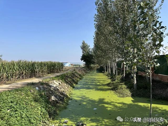 冠县乡韵·兰沃乡大柳邵村