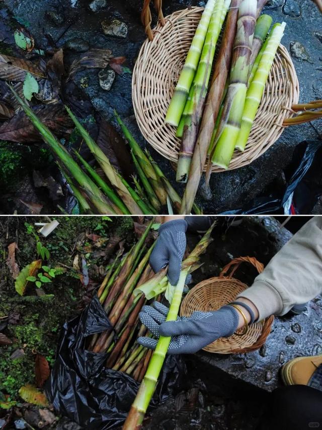 龙苍沟秋季徒步奖牌上线！解锁双人款＆麒麟限定款，这次必须all in！