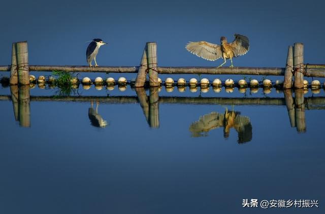 安徽池州贵池区：乌渡湖，画里的模样