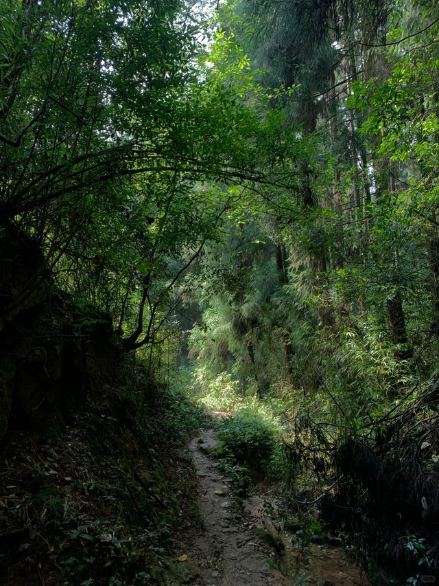 成都1.5小时可达的野山，斗底山徒步真的很酸爽！