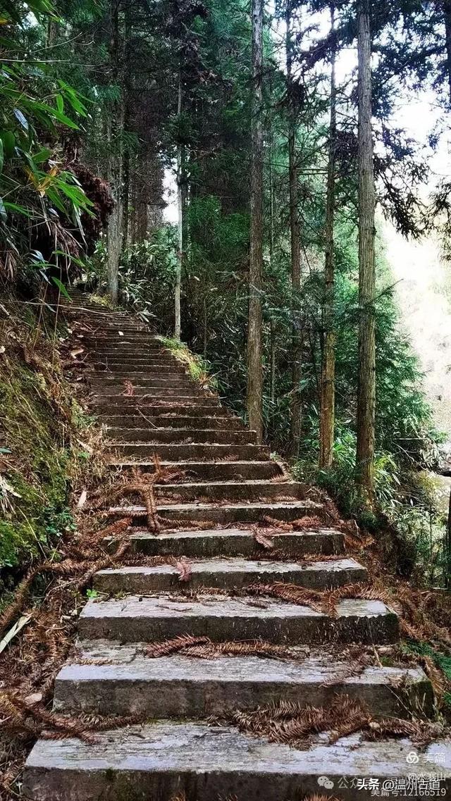 看过温州高峡不朽的轮船—石斑岩美景，可你去过它周边的村庄吗