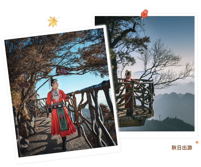 错过等一年！巴山大峡谷秋色刚开场，彩林已美成仙境！