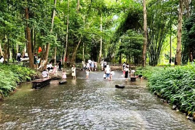 全免费！成都周边30min玩水抓螃蟹、露营野餐钓鱼烧烤！轻松安逸周末快冲！