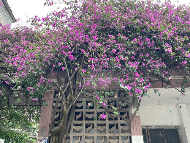 这5件事正在废掉退休后的老人，很多人第一条就中招了