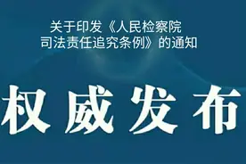 最高检:《人民检察院司法责任追究条例》这又是抗诉者的福音图片