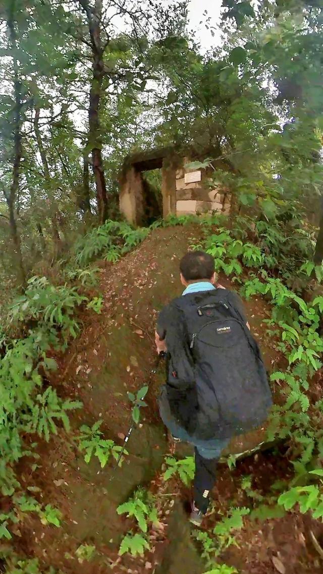 重庆沙坪坝发现神秘洞府，满壁文字暗藏玄机，主人疑是避世高人
