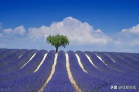 100句阴阳怪气网络歇后语图片
