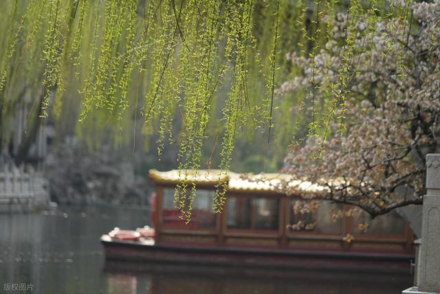 大量印尼游客涌入济南	，打着旅游幌子不去旅游不吃美食，为啥来？