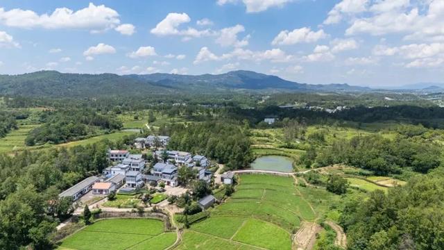 黄陂版《种地吧》太治愈了！