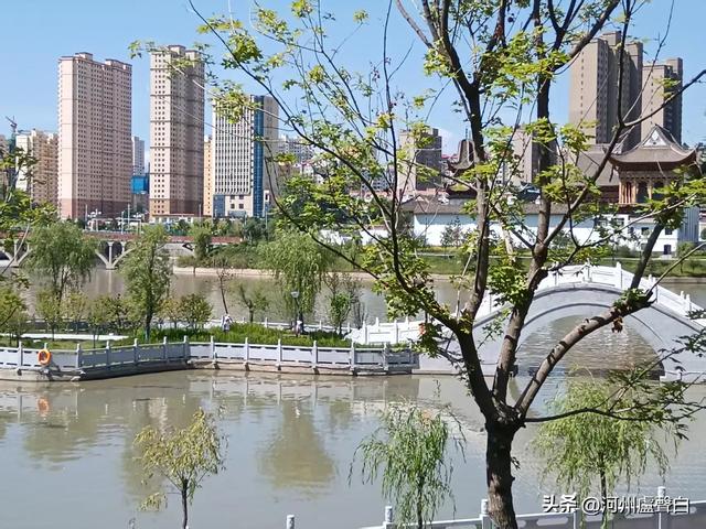 盧世明：游和政龙泉湖、康乐白桦林