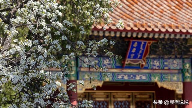 北京故宫的雪到底有多美，居然玩提前预约了！