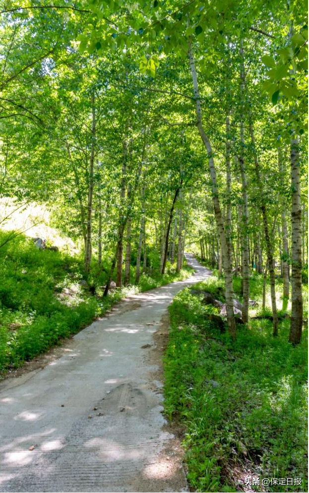 聚焦河北省旅发大会 | 保定分会场：Baoding Mountain Walk！穿越保定太行步道的N种可能