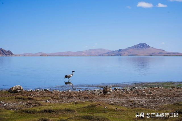 西藏有个县，名气不大，却有媲美马尔代夫的风景和罕见的野生动物