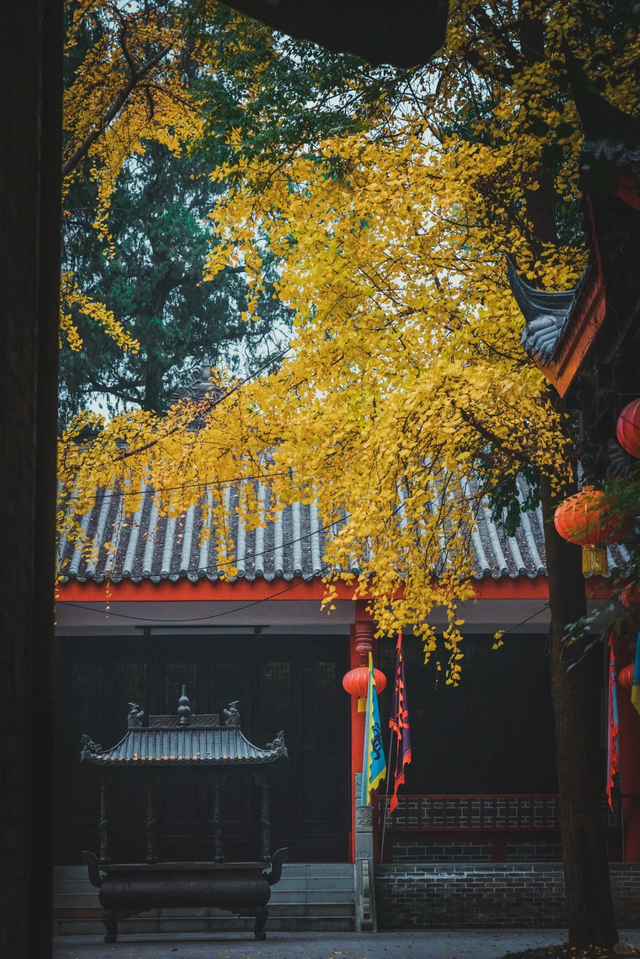 老君山，美美相约！