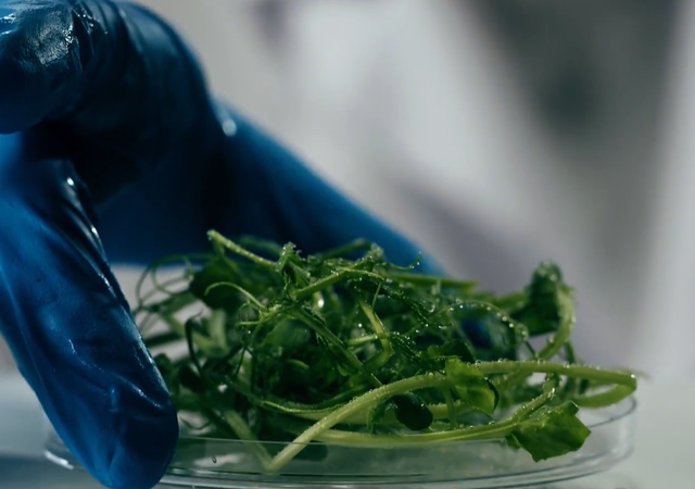 稀土能"种"出来了? 中国新发现"可再生"稀土矿，反击再添新筹码！