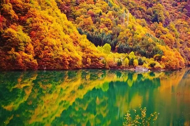 中国彩林第一县！黑水的美镜头不足以描绘！