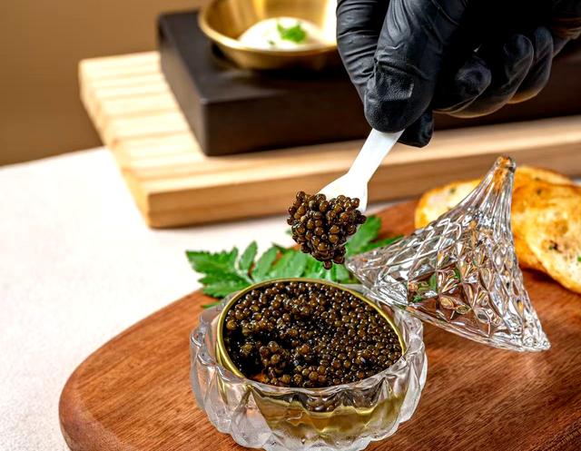 山海缔造的法中双味饕餮盛宴——深圳海上世界幕爵法餐探秘。