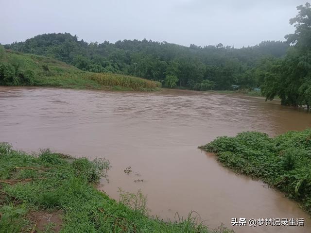 70多岁的老娘像个拼命三郎,一个人在雨天漫步拥抱大自然感觉不错