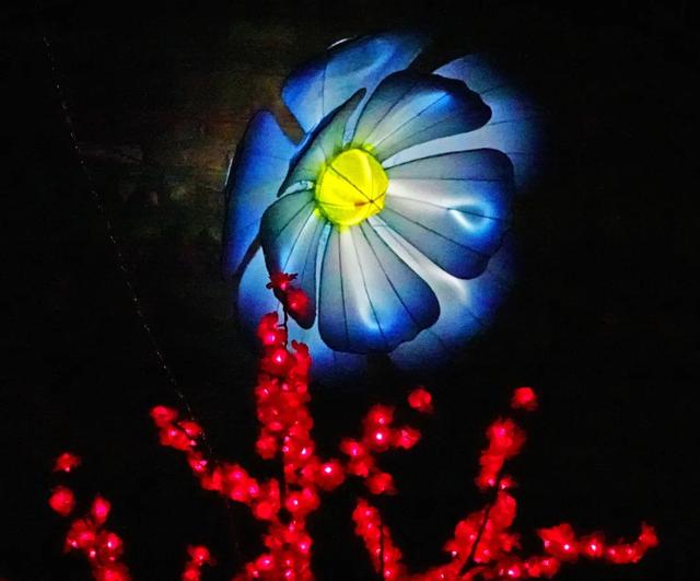 桂林：首届非遗千灯游园，光影艺术璀璨盛宴！