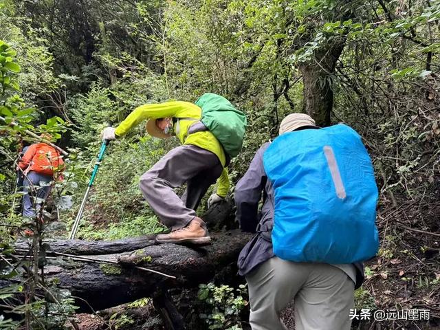 攀登昆明十峰之宜良老爷山，经历密林大雨考验，惊喜交加，难忘