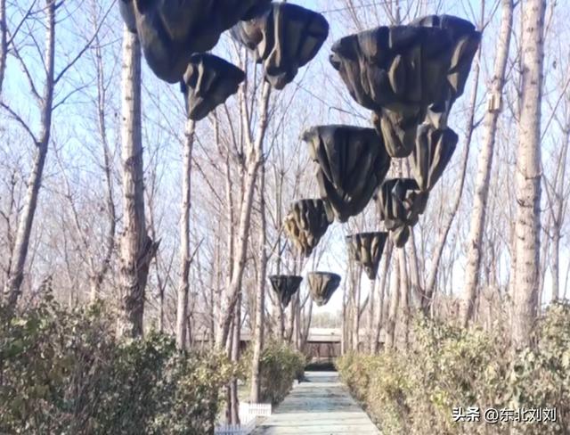 锦州投资五亿的大项目，西游梦幻谷主题乐园即将开园！你期待吗