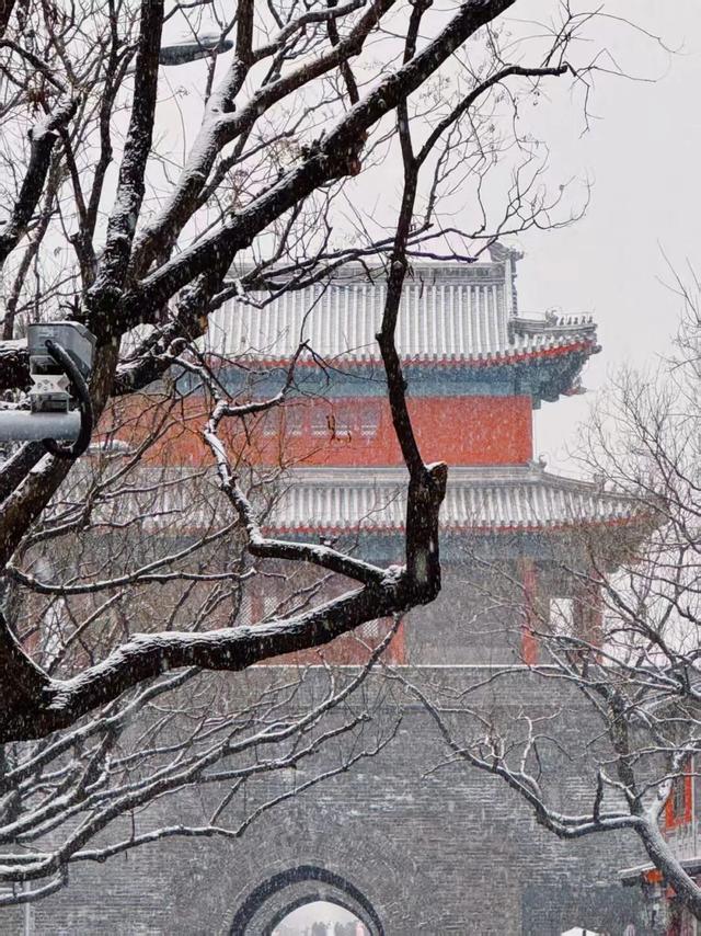 晒图！第一波丰台雪景大片——