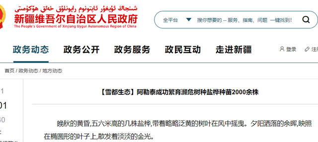 被牛羊啃食导致即将灭绝！1996年，专家在盐湖边发现400棵