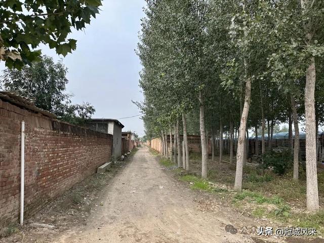 冠县乡韵·桑阿镇轧庄