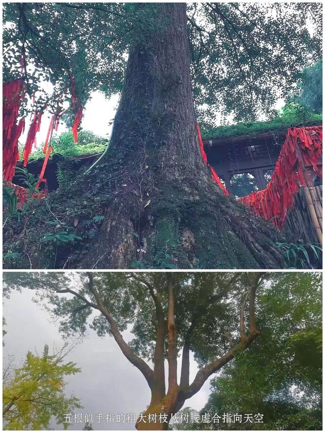 财神发源地游记