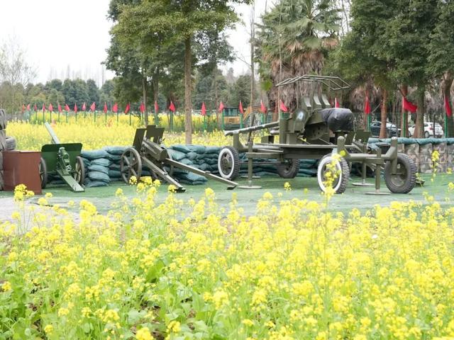 五大点位，廖家镇春日赏花地图来了！