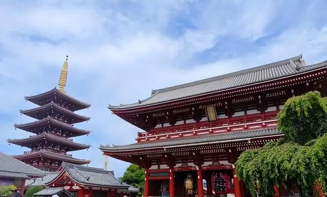 不听劝去日本的游客慌了，滞留机场连吃饭都成问题，当初为啥要去