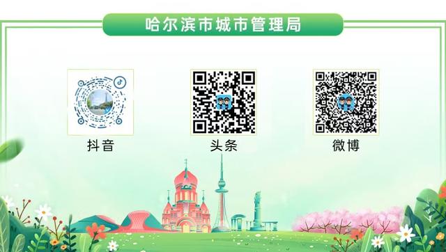 绿色文明冰城 | 冰城夏日荷花盛放 赏荷地点全攻略赶快收藏