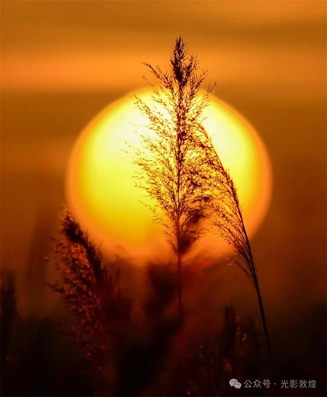 【美景敦煌】大漠孤烟直,党河落日圆