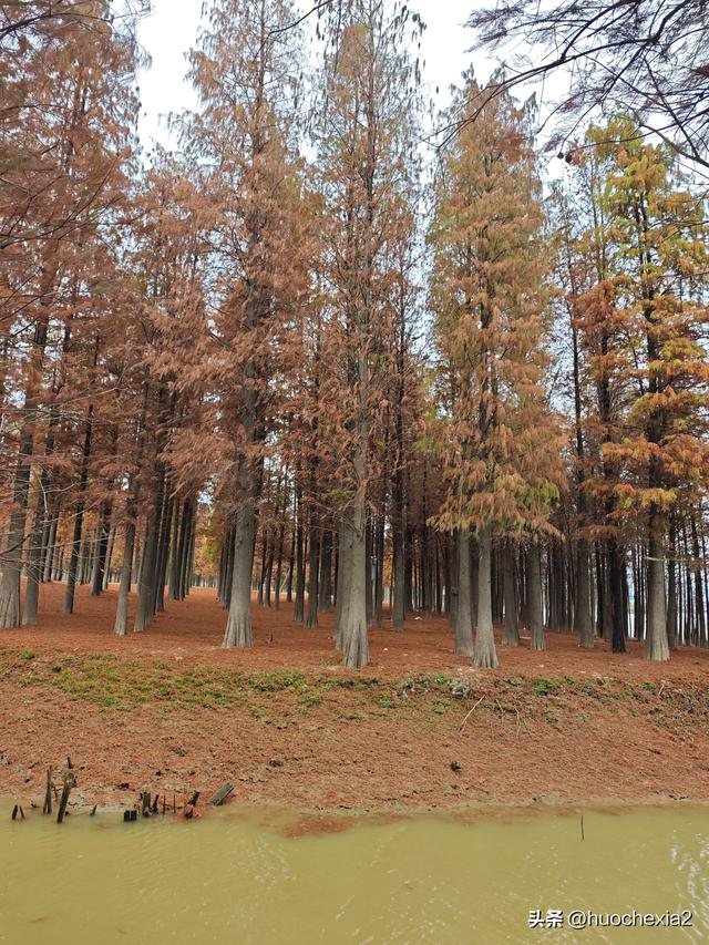 佛山真好逛——火红的小布村