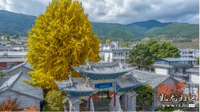 寻美云南（四）大理凤羽，诗意旅居