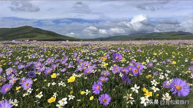 阿坝漫游记：雪山花海与羌寨古寺的十六次心动