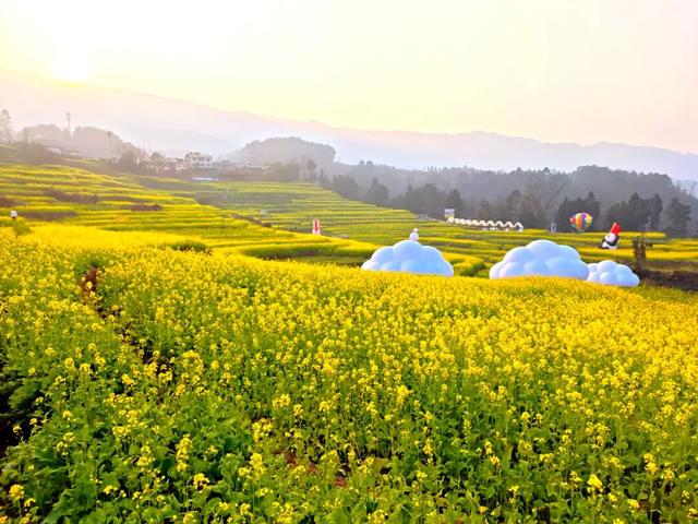 快乐值拉满！1月17日，来屏山赏油菜花海、免费吃彝家刨汤宴……