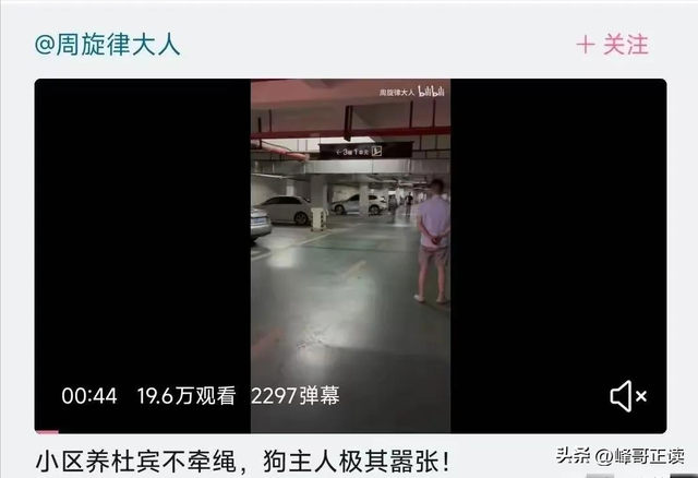 丹阳杜宾犬最新后续：网友不满处理依旧炸锅，养狗人终于登门道歉