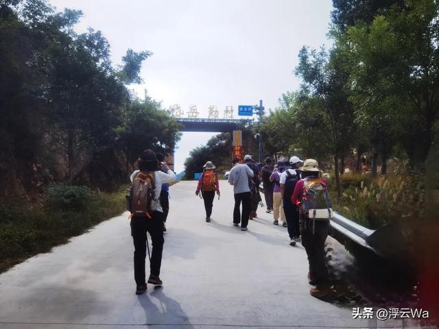 ​​​忍着胸上方肋骨的疼痛，爬了个齐长城，累计拔高900+，走了13公里
