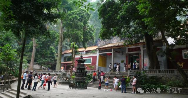 桂平半程马拉松选手看过来！文旅福利已就位，三大景点等你打卡～