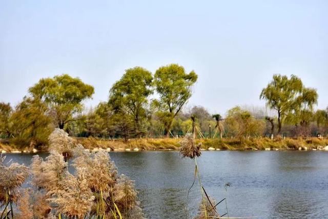 冬天，一定要来一趟潍坊青州！