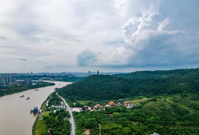 国内绿化最好的10大城市，南宁第3，昆明第6，长春垫底！