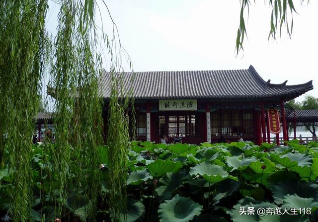 夏日炎炎，泉城戏水，不辞长作济南人
