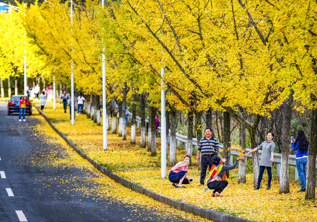 【雄奇山水 冬韵武隆】彩叶织锦·山野层林映画