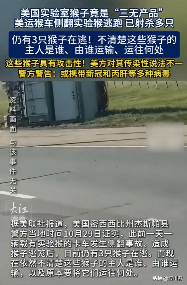 美国又泄露病毒？有3只实验猴逃跑，携带新冠多种病毒，疑点重重